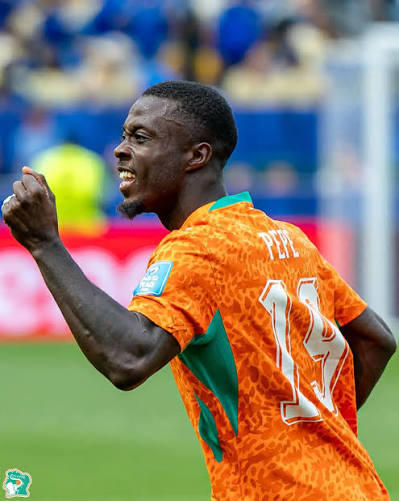 elephant-de-cote-divoire-herve-renard-veut-chasser-pepe.jpg