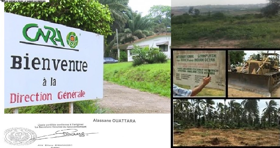 Côte d’Ivoire / Le ministre d'Etat Kobenan Kouassi Adjoumani accusé de faire main basse sur le CNRA