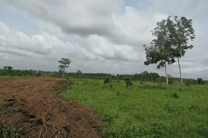 Conflit foncier dans le district d'Abidjan : Des propriétaires terriens et la chefferie d'Elokato s’empoignent