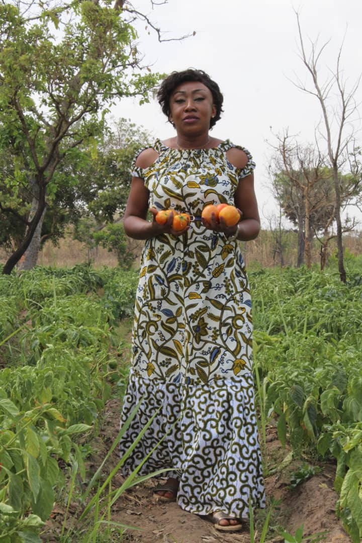 Côte d’Ivoire / Autonomisation féminine : Les coopératives agricoles de Diabo font leur première récolte