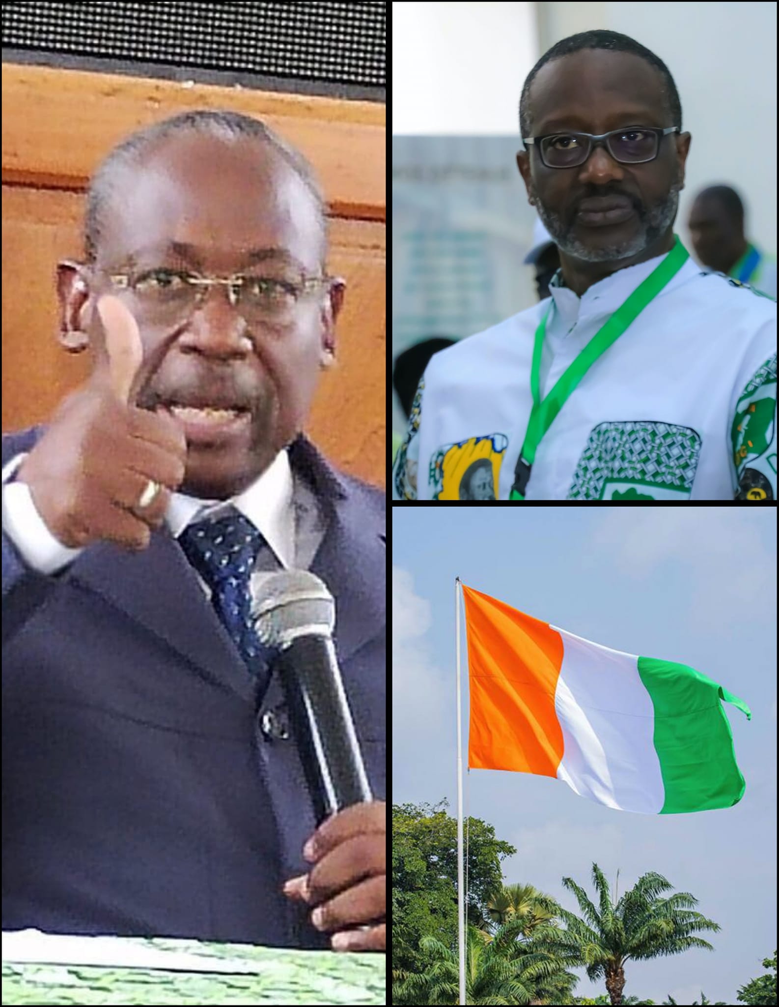 Côte d’Ivoire / Bredoumy SoumaÏla, porte-parole du PDCI : « Ce que le président Bédié m'a dit de Tidjane Thiam... »