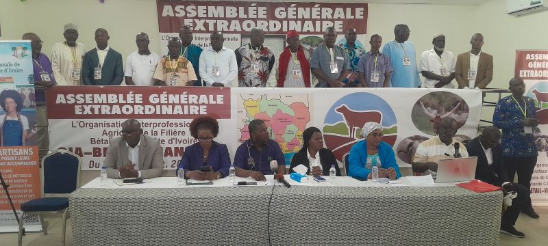 Côte d’Ivoire / Filière bétail-viande : Mory Coulibaly aux commandes par consensus
