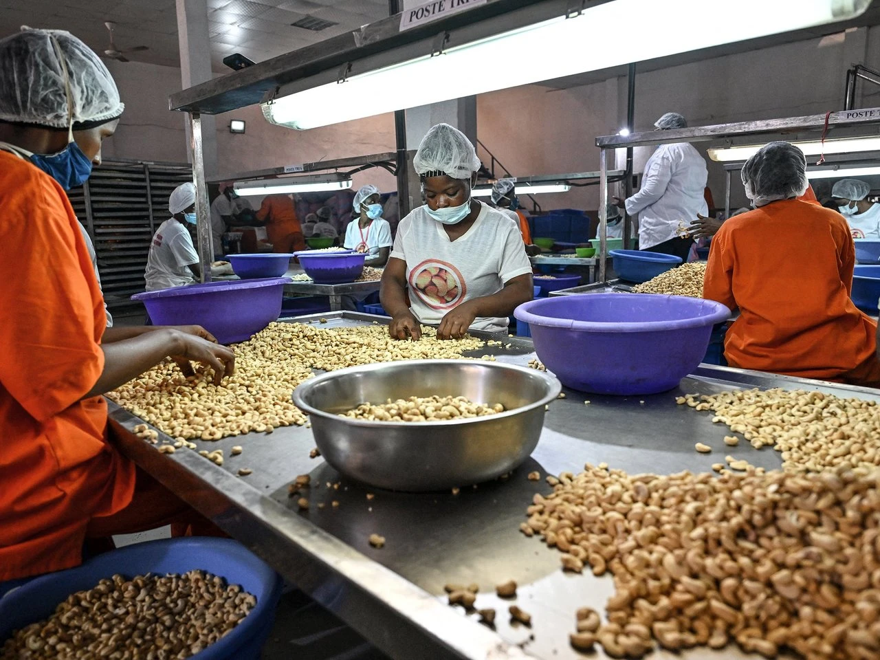 Côte d’Ivoire / Filière noix de cajou : Le pari audacieux de la transformation locale