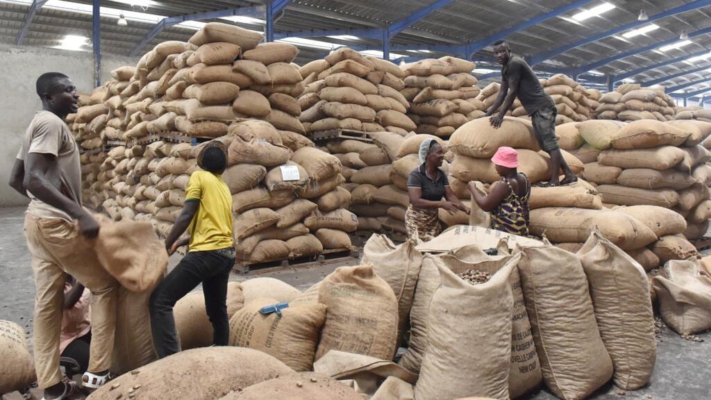 Côte d’Ivoire / Fuite des produits de l'anacarde : La mise en garde du Conseil coton, anacarde, karité contre les exportateurs véreux
