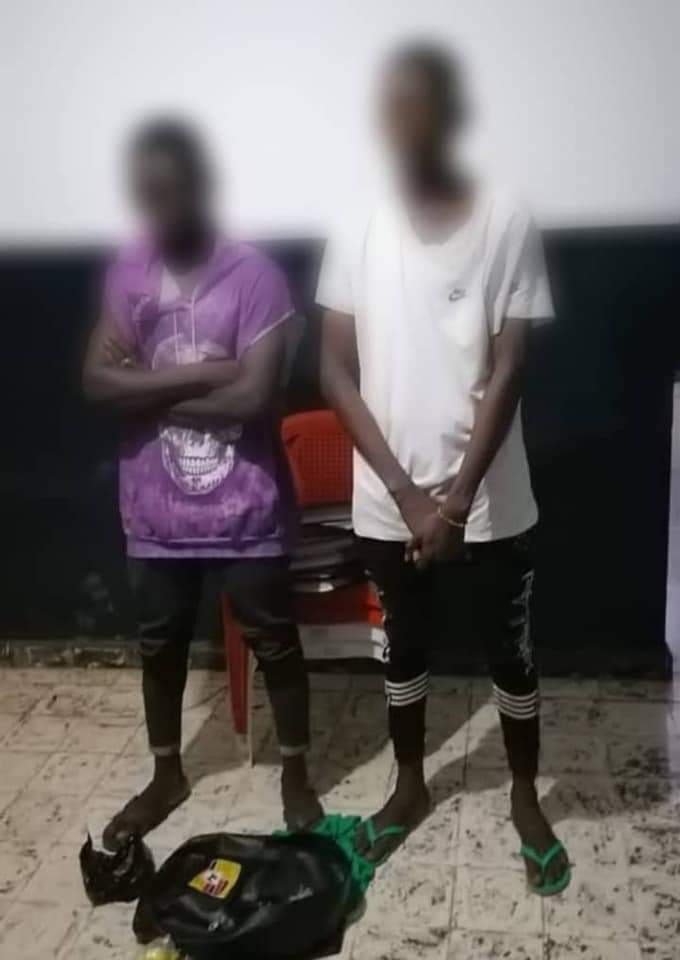 Côte d'Ivoire / La gendarmerie interpelle 2 individus avec une enveloppe de 18 millions