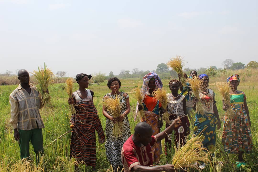 Côte d’Ivoire / Le cri de cœur de Rebecca Yao en faveur des producteurs de riz de Diabo