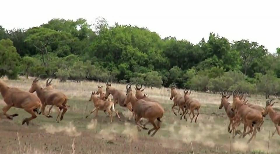Côte d’Ivoire / Parc national de la Comoé : La surveillance aérienne renforcée en 2023