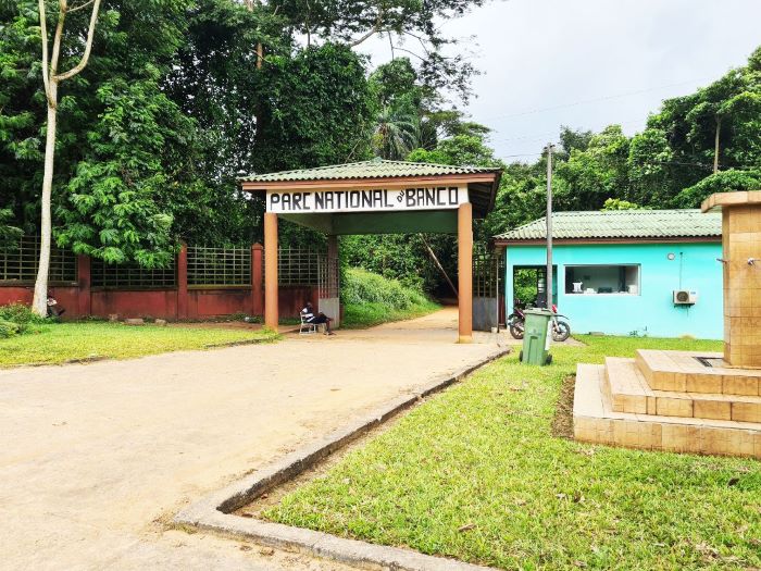 Côte d’Ivoire / Parc national du Banco : une véritable réserve de biodiversité au cœur d’Abidjan