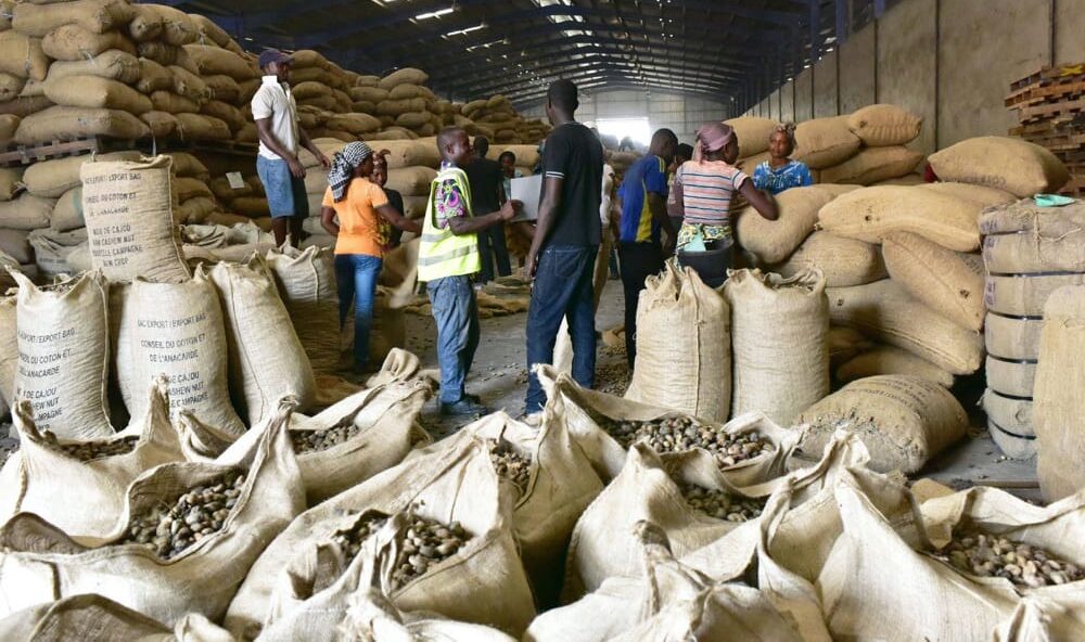 Côte d’Ivoire : Plusieurs autorités administratives et militaires impliquées dans l’exportation illicite des produits agricoles relevées de leurs fonctions