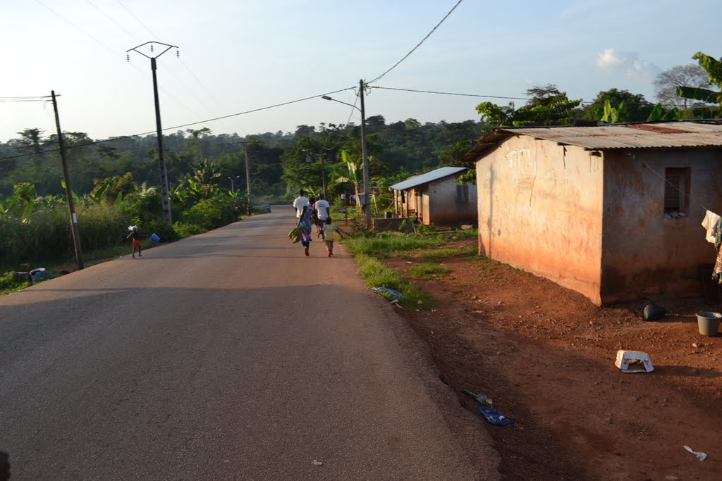 Côte d’Ivoire / Pris pour un pisteur de café-cacao : Un enseignant abattu par des coupeurs de route à Afféry