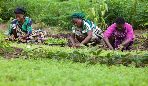 Côte d’Ivoire / Promotion des emplois verts: le gouvernement présentera sa stratégie intégrée aux principaux acteurs