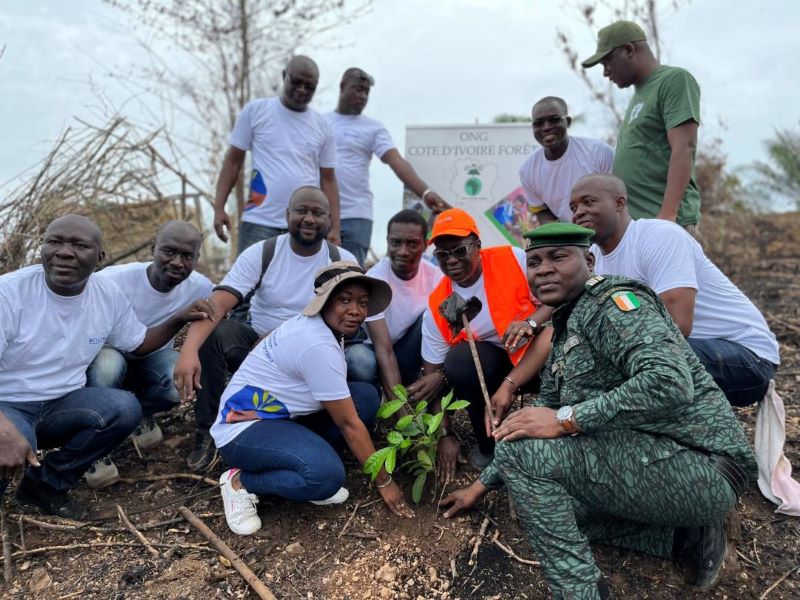 Côte d’Ivoire / Reforestation : Un hectare reboisé dans la boucle du cacao