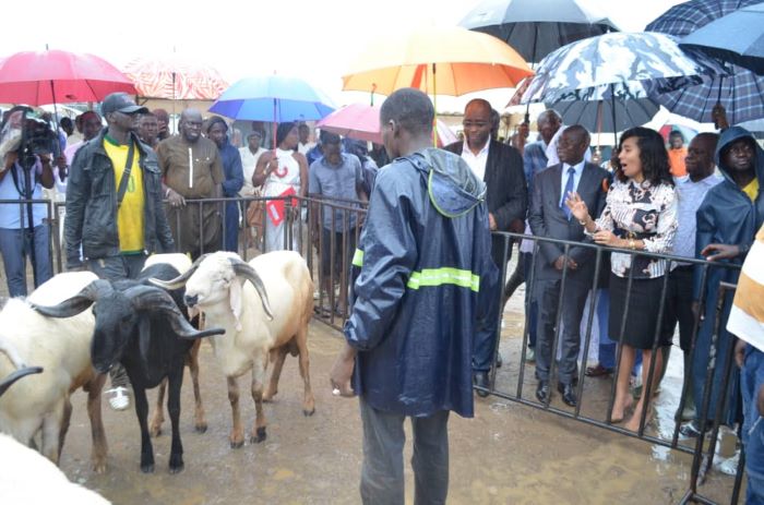 Côte d’Ivoire / Tabaski 2023 : Le district d'Abidjan opte pour un marché éclaté dans les communes