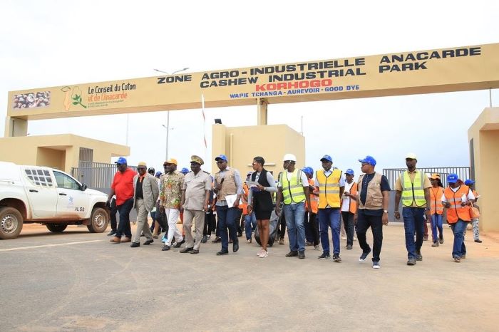 Côte d’Ivoire / Transformation de la noix de cajou : Une plateforme mise à la disposition des investisseurs à Korhogo