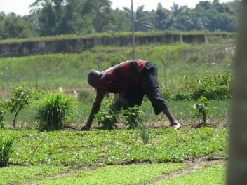 Côte d’Ivoire / Un projet de budget en hausse de 18%