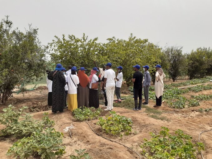 OIT / Yamoussoukro : Le projet "la dimension sociale de la transition écologique" va former 25 travailleurs