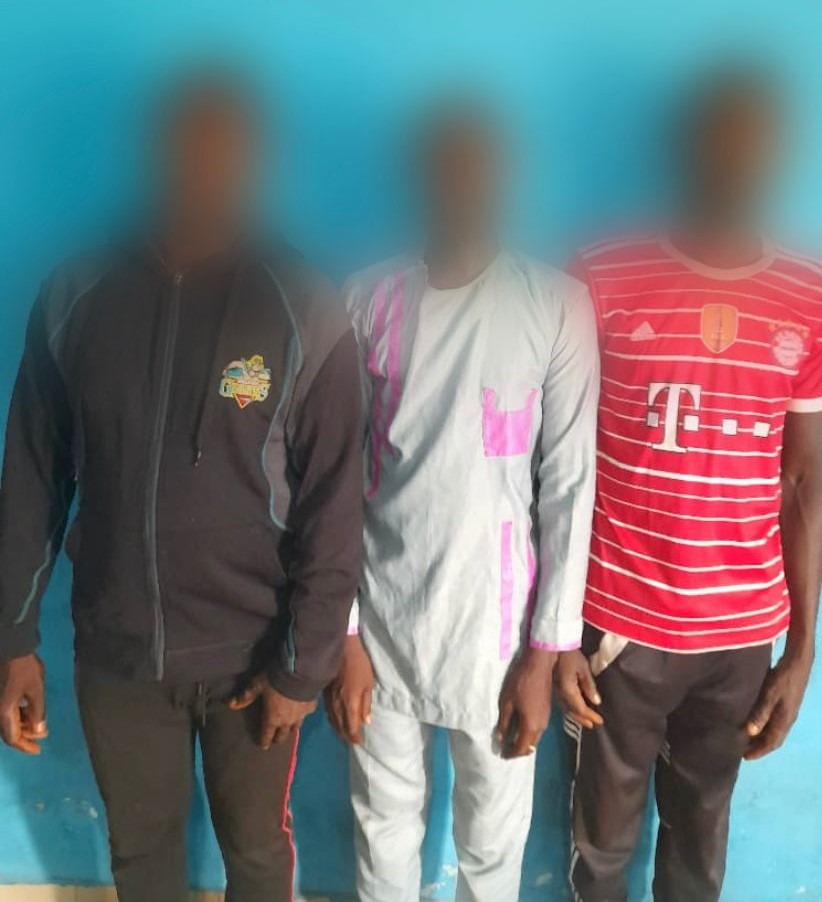 Sangouiné / 3 individus mis aux arrêts après l’agression des agents de la Sodefor à l’arme blanche